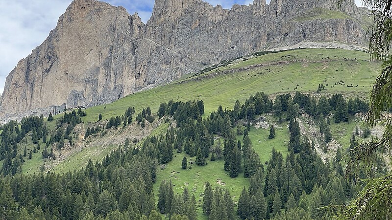 Karta