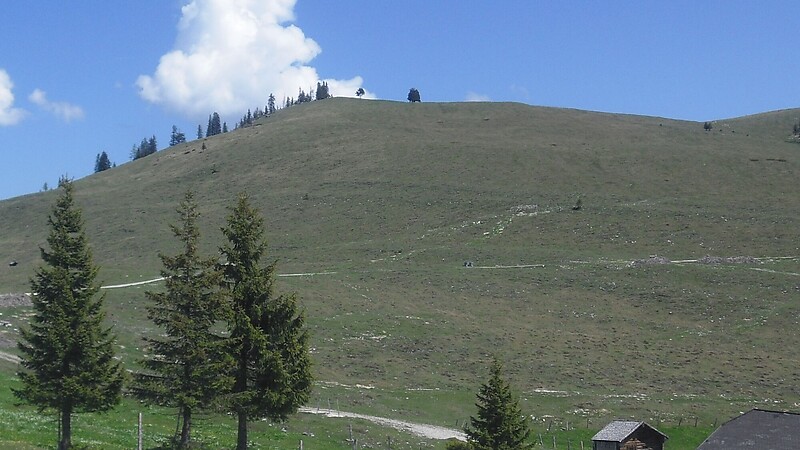 Karta