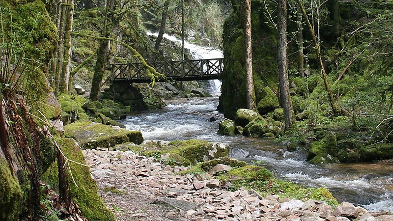 Karta