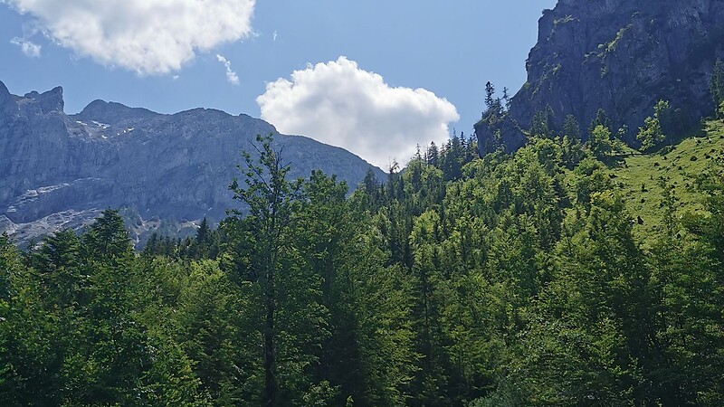 Karta