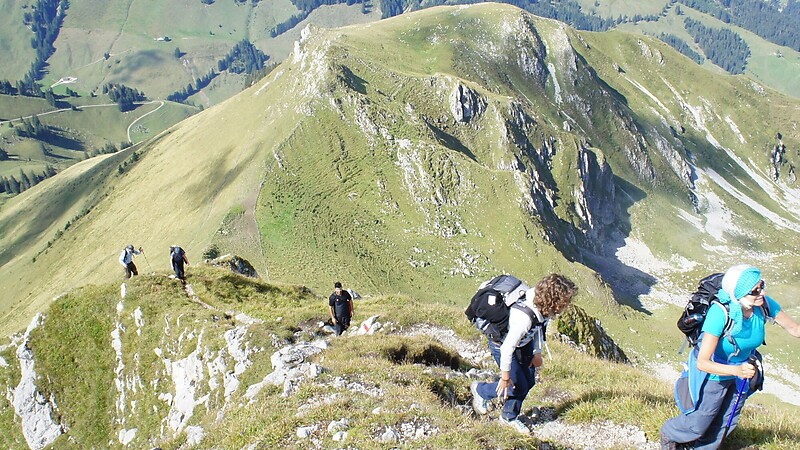 Karta