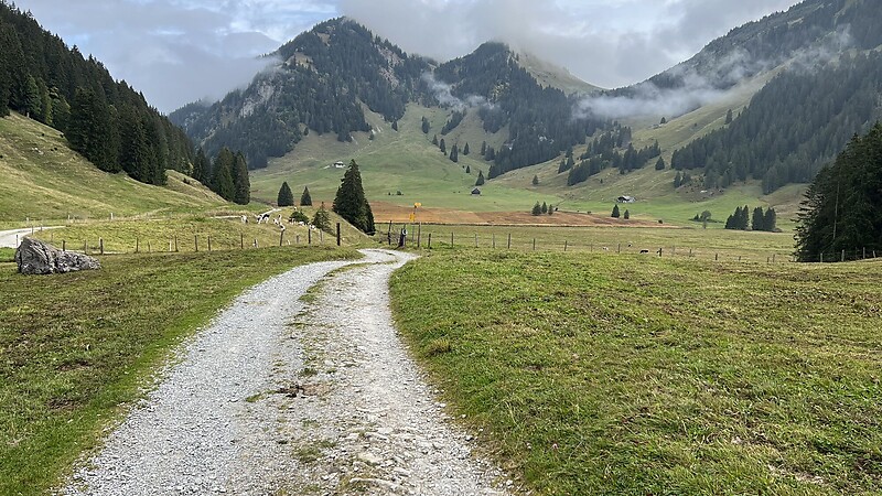 Karta