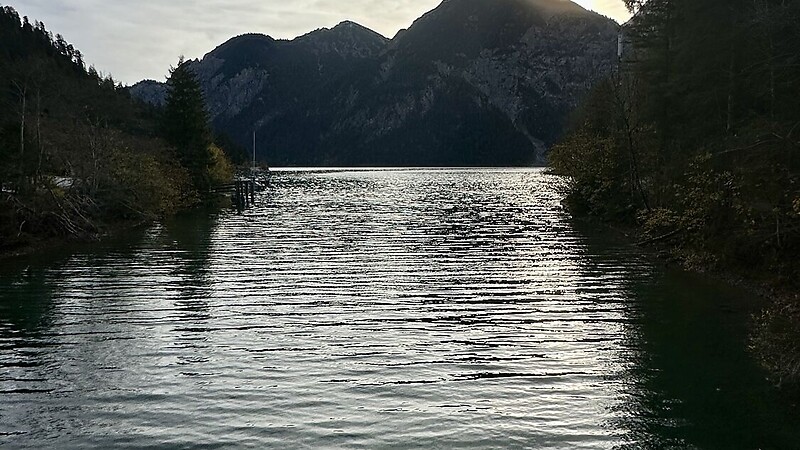 Karta