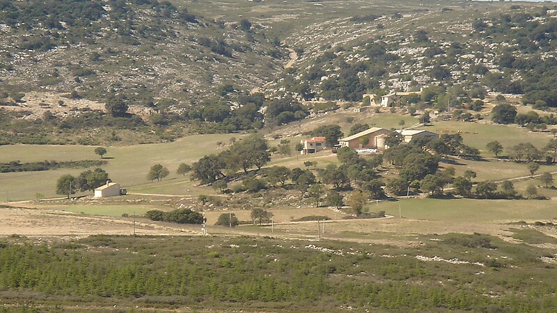 Karta