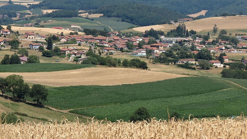 Karta