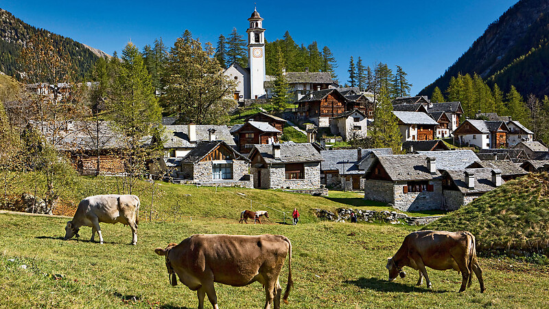 Karta