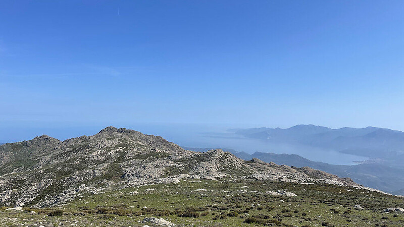 Karta