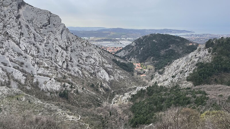 Karta