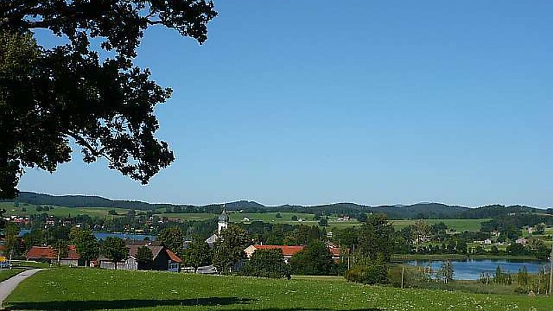 Karta