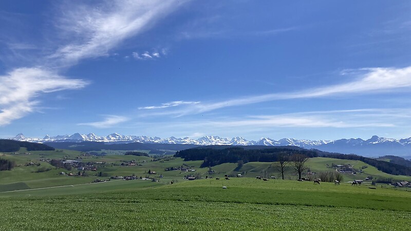 Karta