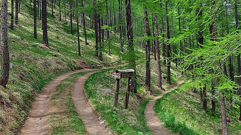 Karta