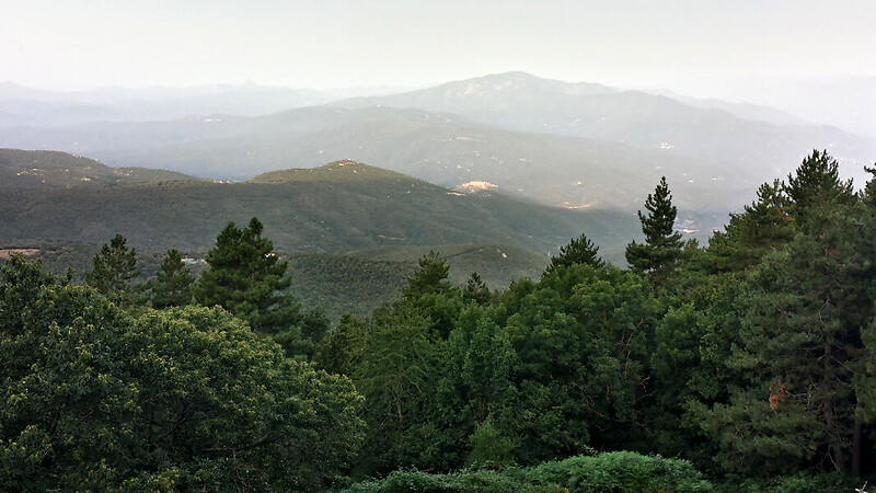 Karta