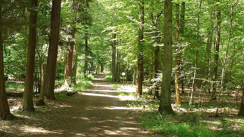 Karta