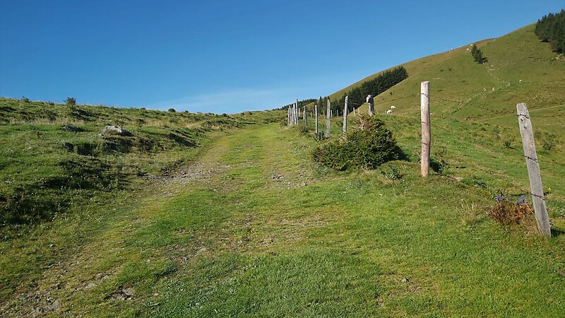 Karta