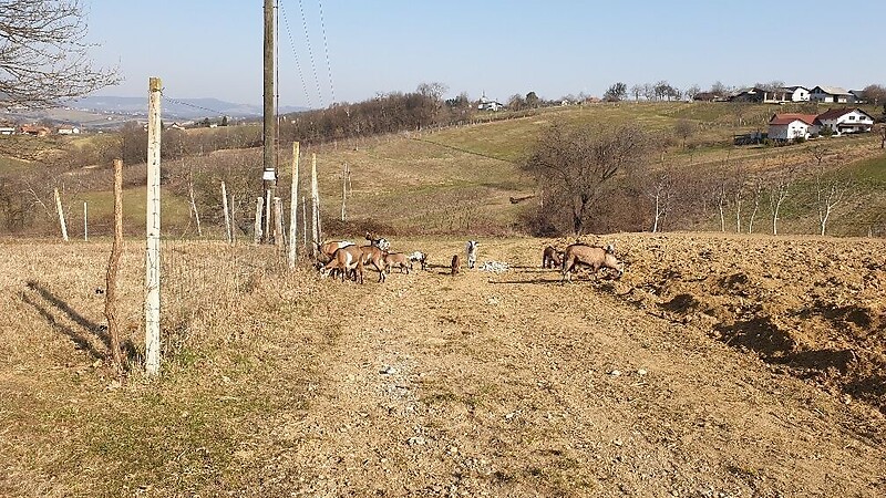 Karta