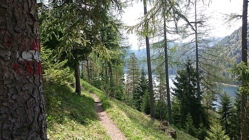 Karta