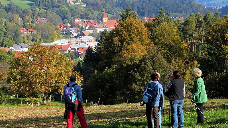Karta