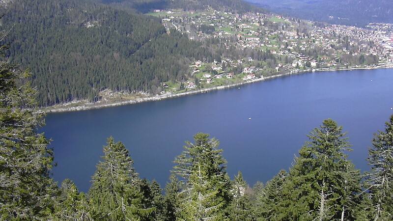 Karta