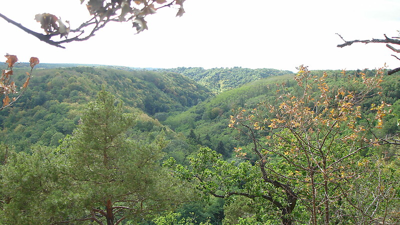 Karta