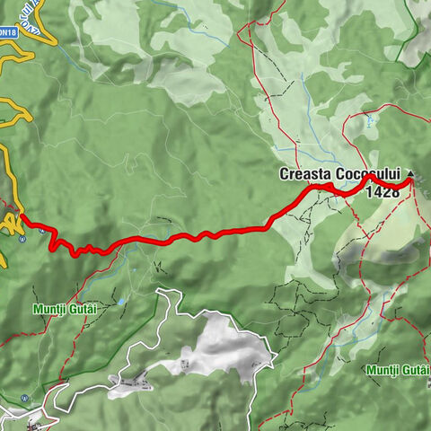 Pasul Gutâi - Refugiul Montan Creasta Cocoșului - Creasta Cocoșului - Izvor Creasta Cocoșului