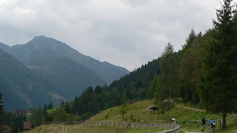 Karta