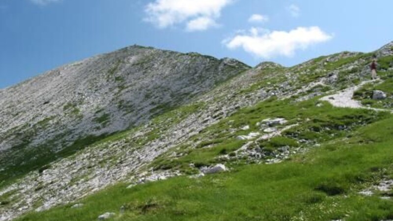 Karta