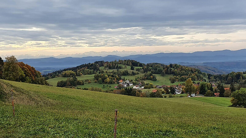 Karta