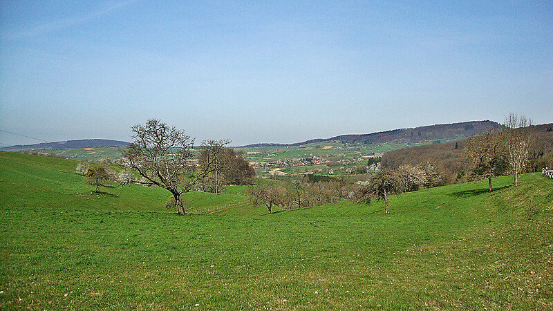 Karta