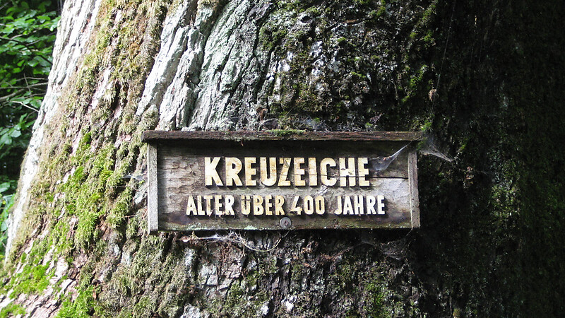 Karta