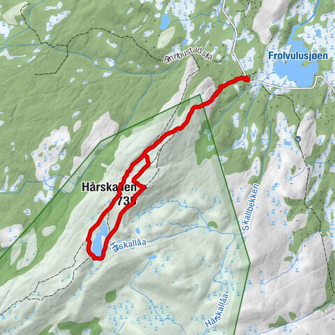 Levanger - Hårskallen
