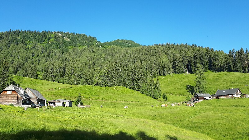Karta