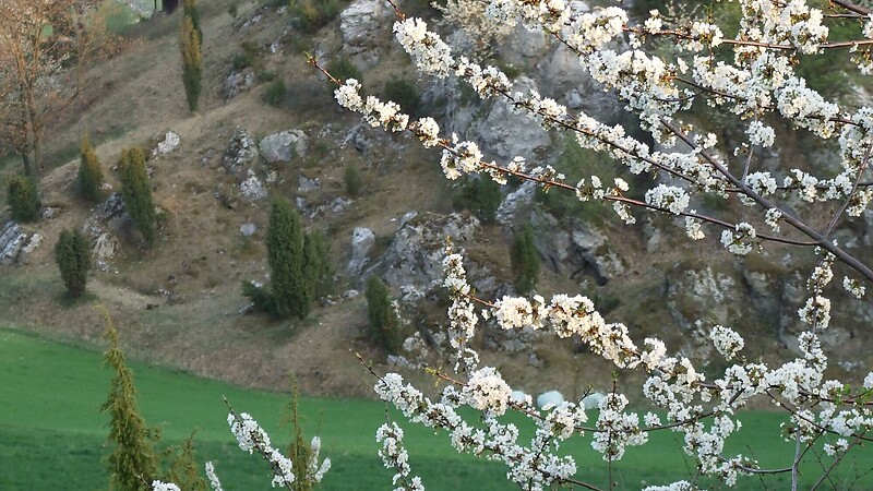 Karta