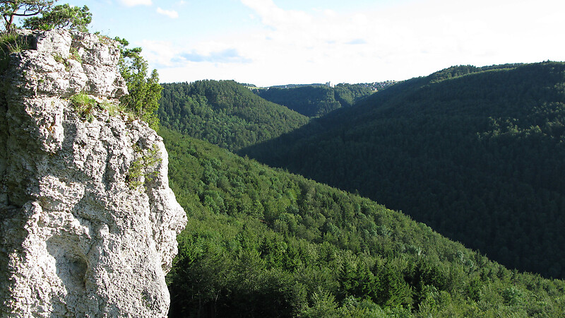 Karta