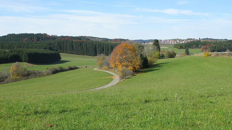 Karta