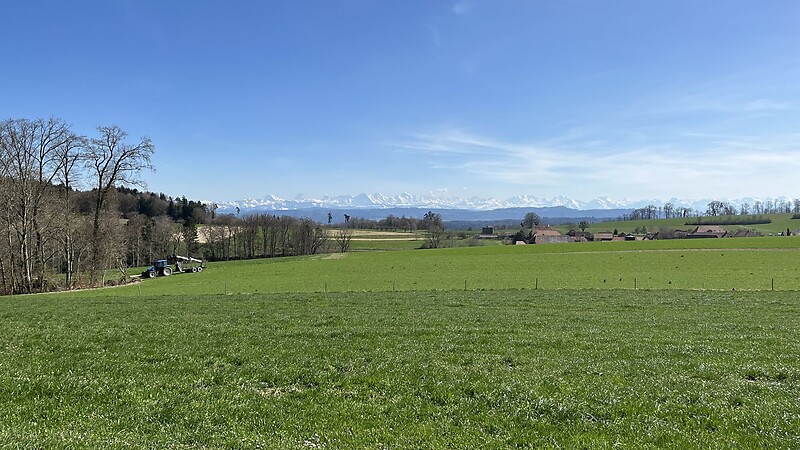 Karta