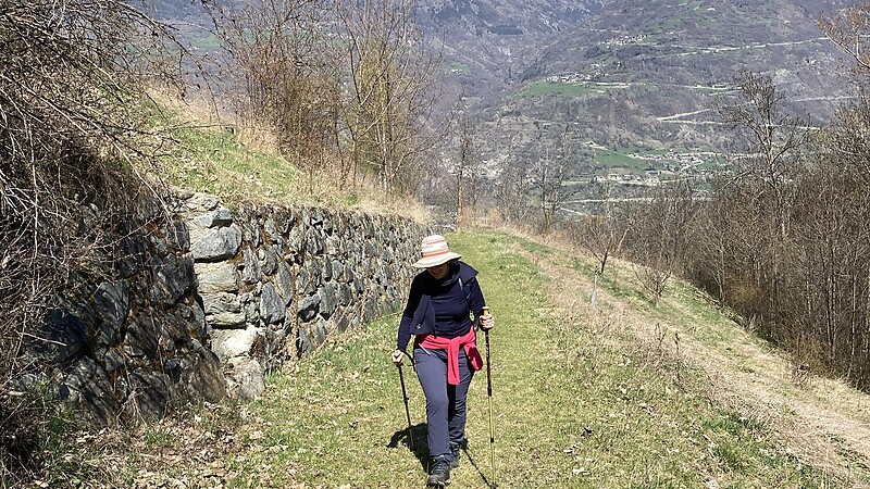 Karta