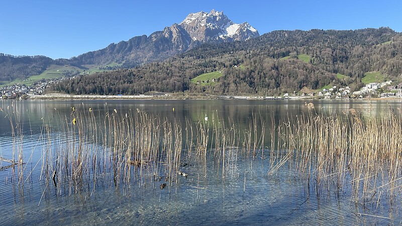 Karta