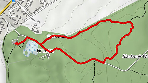 Highland - Fir Lodge - Cat's Back