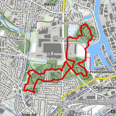 Odense Kommune - Odense