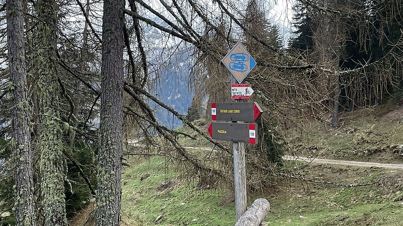 Karta