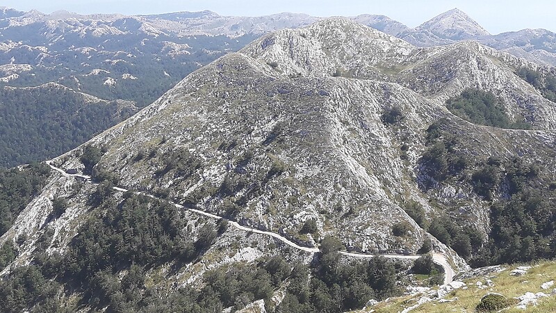 Karta