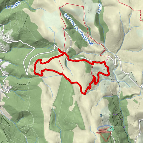 Les Gentianes - Jasseries de Supeyres - Genevrier