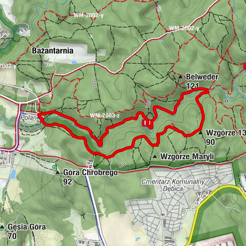 Elbląg - Wzgórze 13 sosen