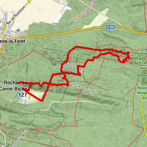 Carrefour de la Plaine Macherin - Point de vue de Hurlevent - Rocher de Corne-Biche - Antre des Druides