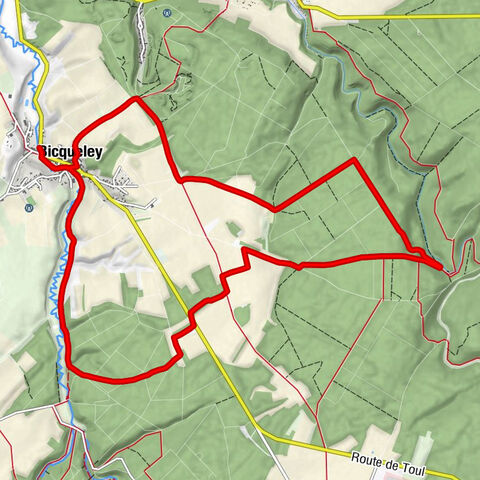 Le Village - Église Saint-Martin - Bicqueley - Devant le Chanot