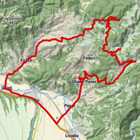 Ponor - Biserica Catolică Pui - Biserica Reformată Pui - Pui