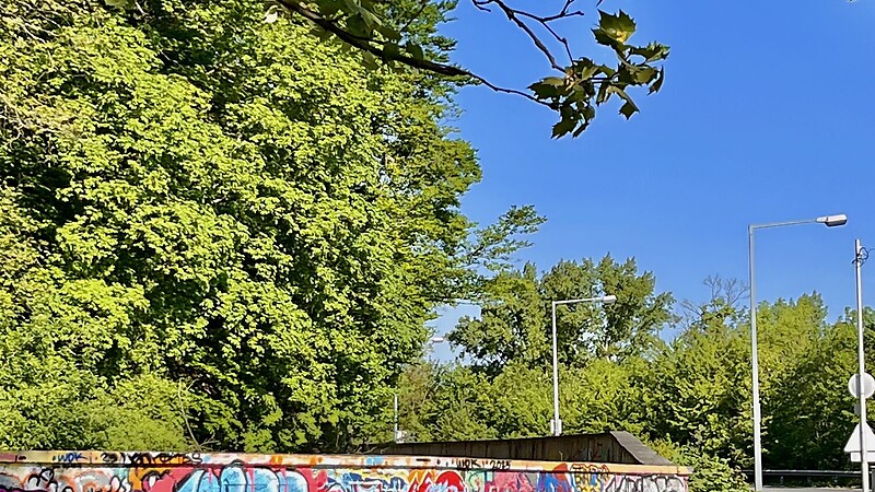 Karta