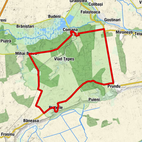 Comana - Biserică - Mihai Bravu