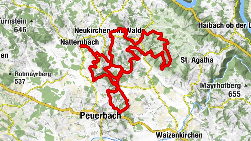 Karta