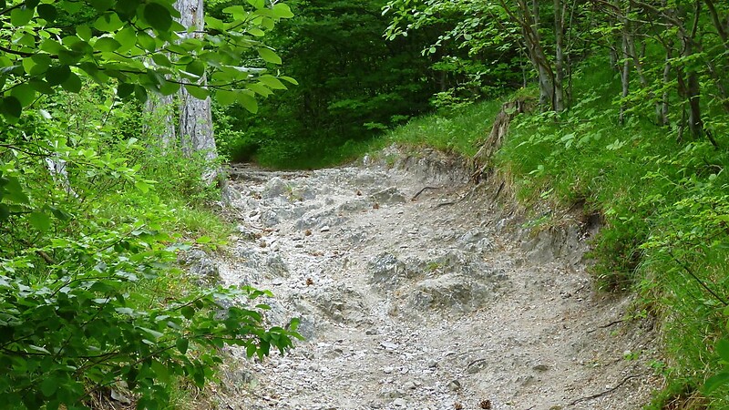Karta